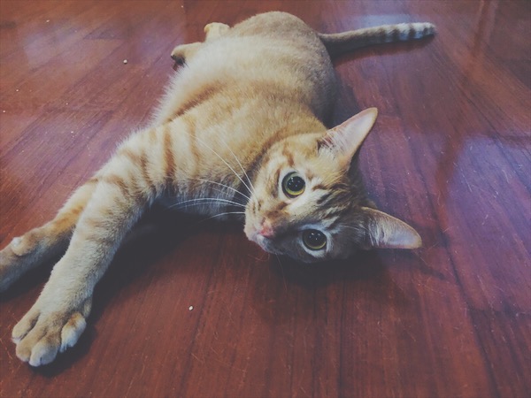 Processed with VSCO with f2 preset