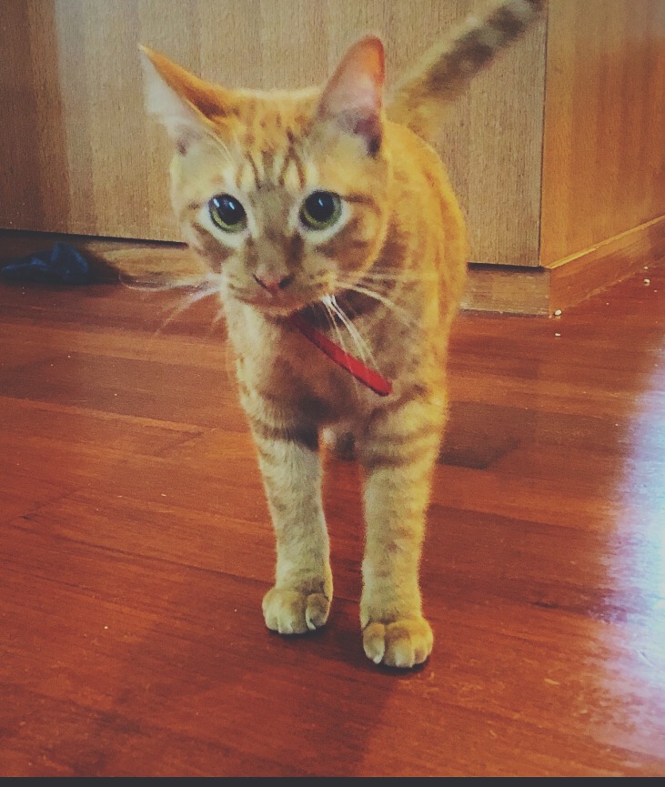 Processed with VSCO with f2 preset