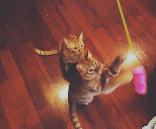 Processed with VSCO with f2 preset