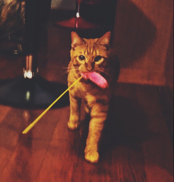 Processed with VSCO with f2 preset