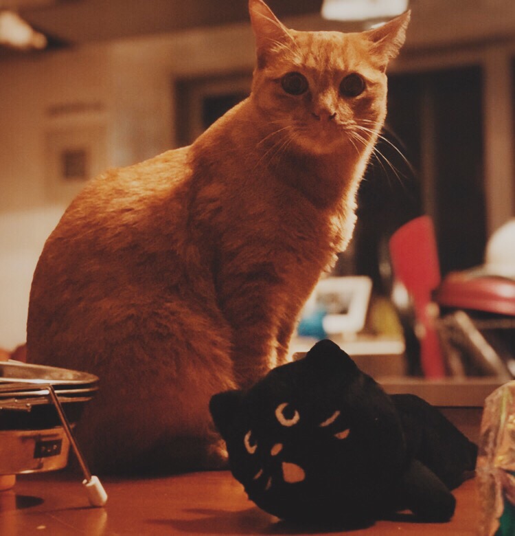 Processed with VSCO with m5 preset